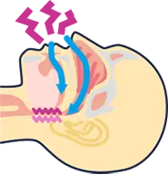 気道が狭まりいびきを掻いている人体の図