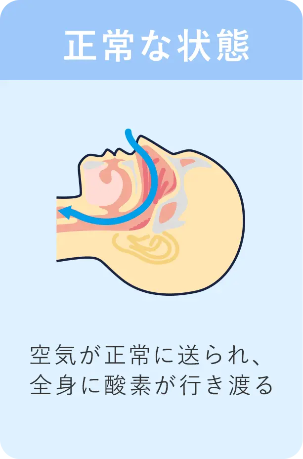正常な状態/空気が正常に送られ、全身に酸素が行き渡る