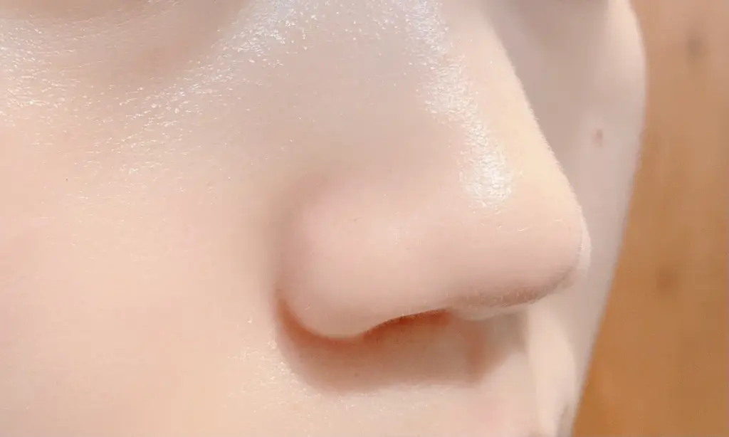 鼻の画像